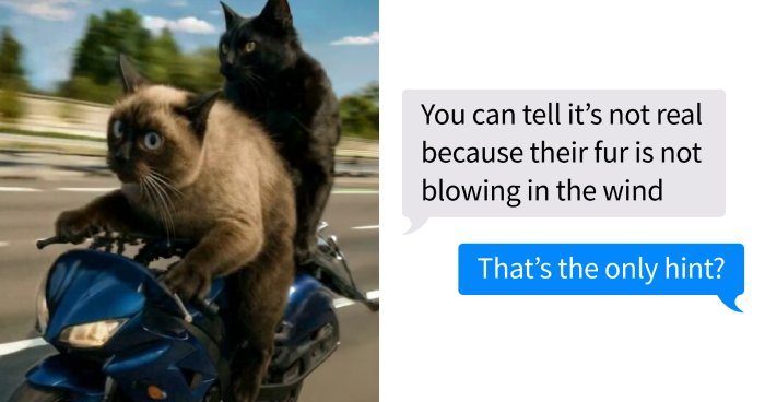 Let’s Peek at These 67 Texts That Are Just Too Funny To Ignore