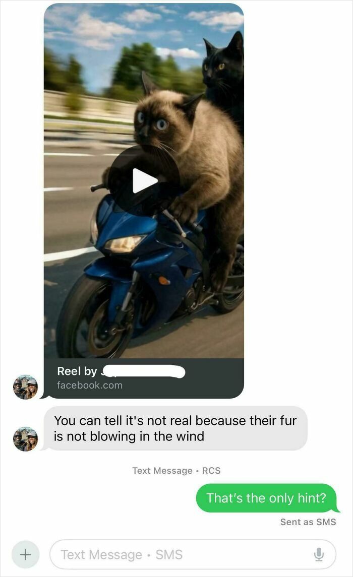 Dad’s Now an AI Detection Pro
