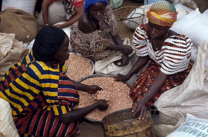 Benin: Pulses and Staples, But Not Much Else
