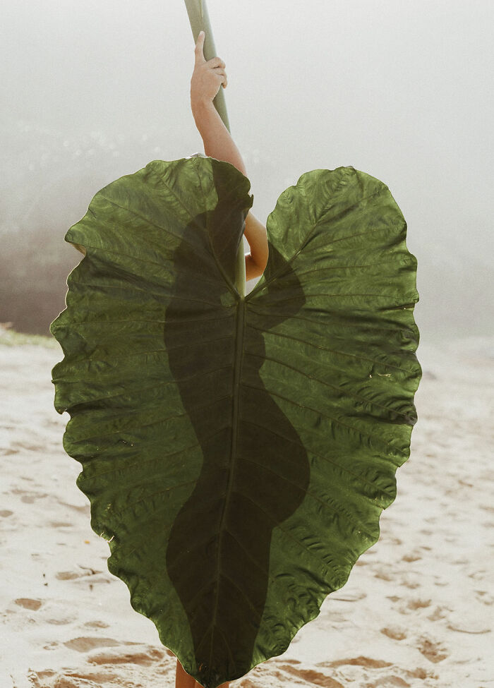 Wait, These Photos Make You Wonder If Humans Are Part Nature!