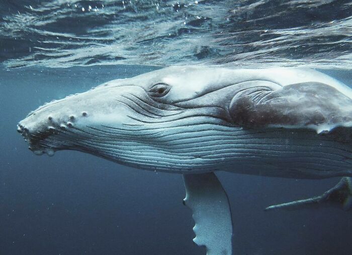 Wait, These Photos Make You Wonder If Humans Are Part Nature!