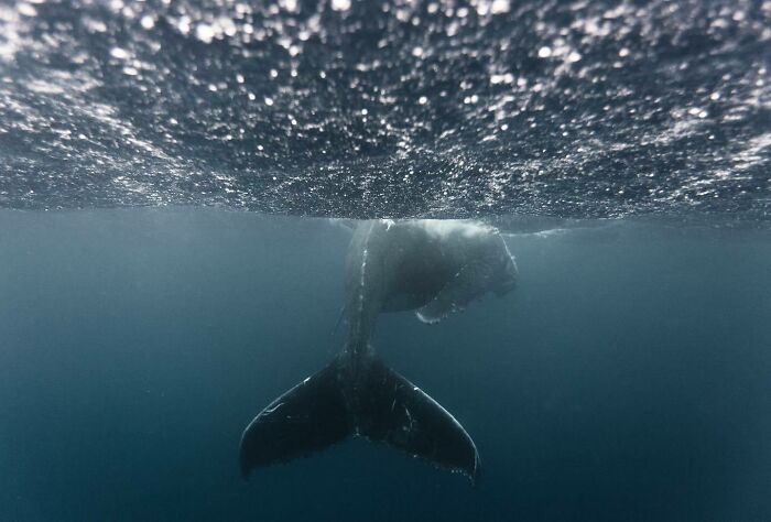 Wait, These Photos Make You Wonder If Humans Are Part Nature!