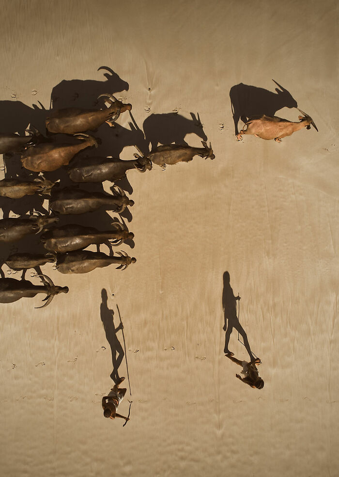 Wait, These Photos Make You Wonder If Humans Are Part Nature!
