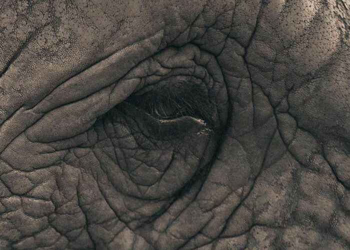 Wait, These Photos Make You Wonder If Humans Are Part Nature!