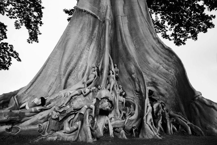 Wait, These Photos Make You Wonder If Humans Are Part Nature!