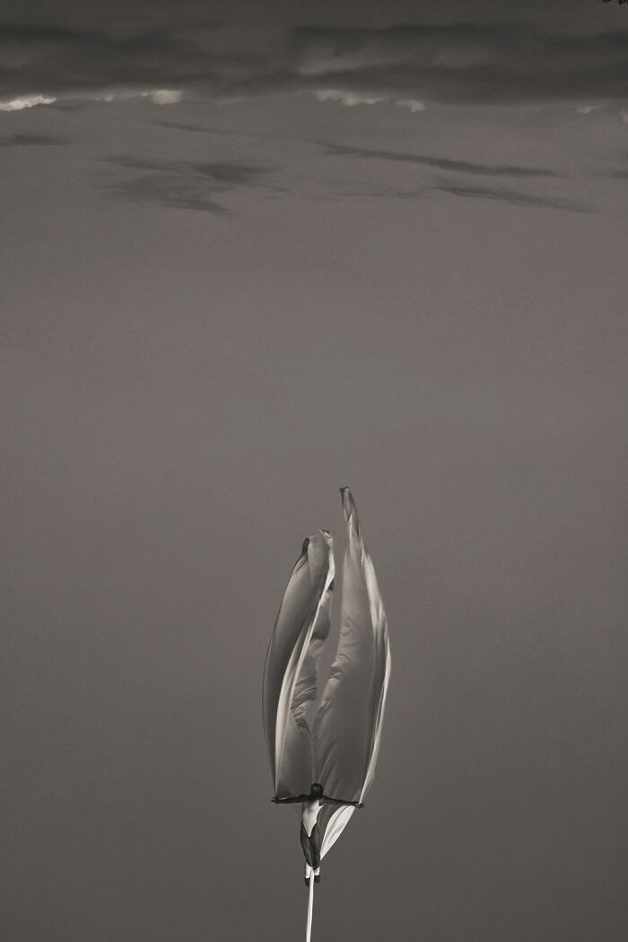 Wait, These Photos Make You Wonder If Humans Are Part Nature!