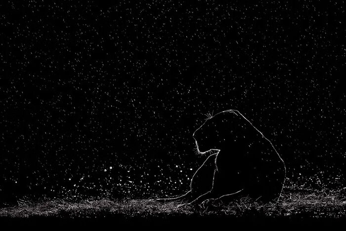 Fortitude by Preet & Prashant Chacko