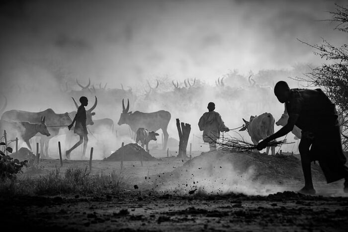 Mundari's Life by Svetlin Yosifov