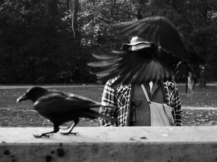 Crows With Man by Axel Gorlach