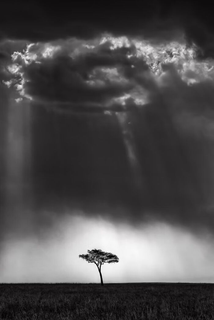 Skyfall by Preeti & Prashant Chacko