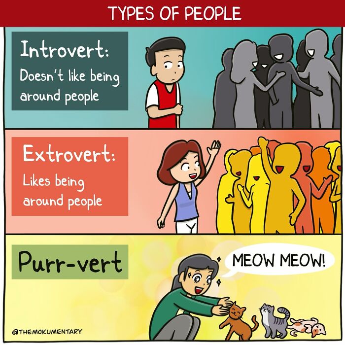 40 Comics That Nail Life’s Weirdest, Funniest Moments
