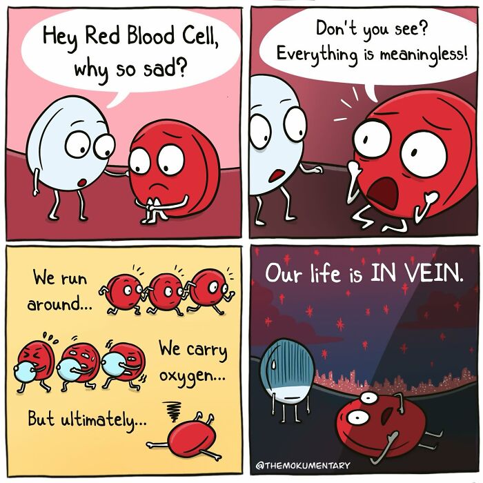 40 Comics That Nail Life’s Weirdest, Funniest Moments