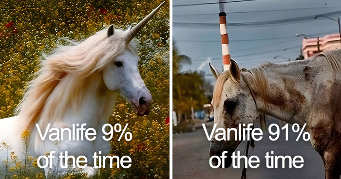 Van Life Memes That Nail The Crazy, Cozy, And Weird Road Adventures