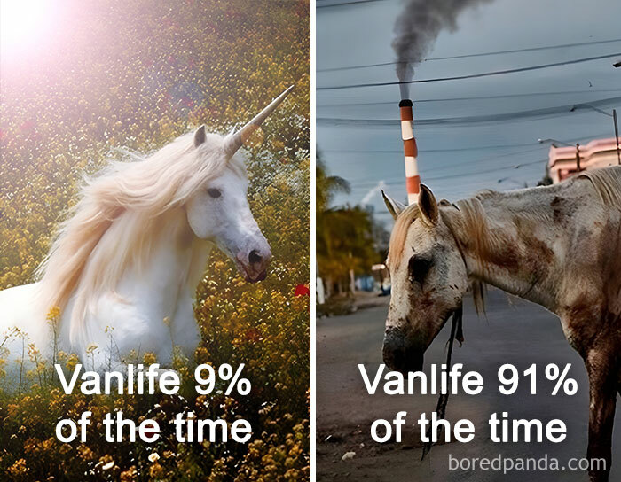 Van Life Memes That Nail The Crazy, Cozy, And Weird Road Adventures