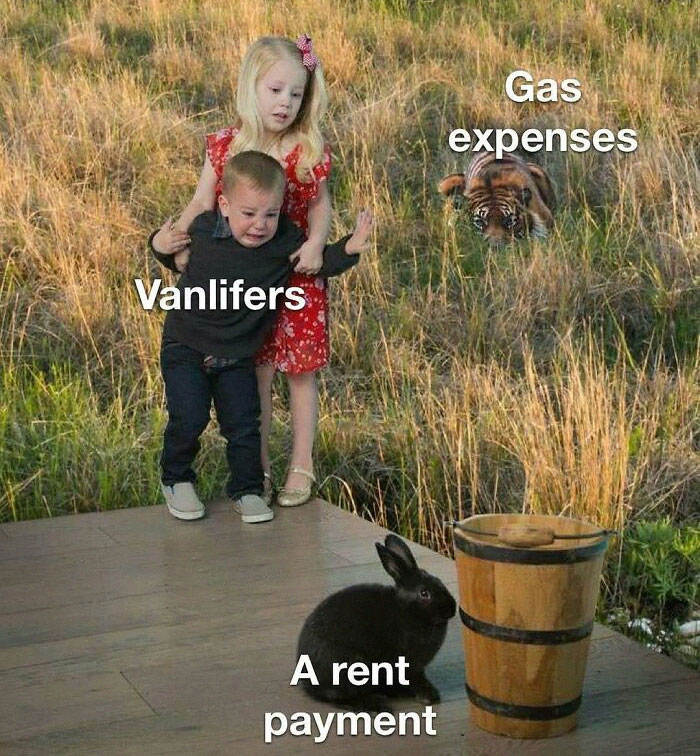 Van Life Memes That Nail The Crazy, Cozy, And Weird Road Adventures