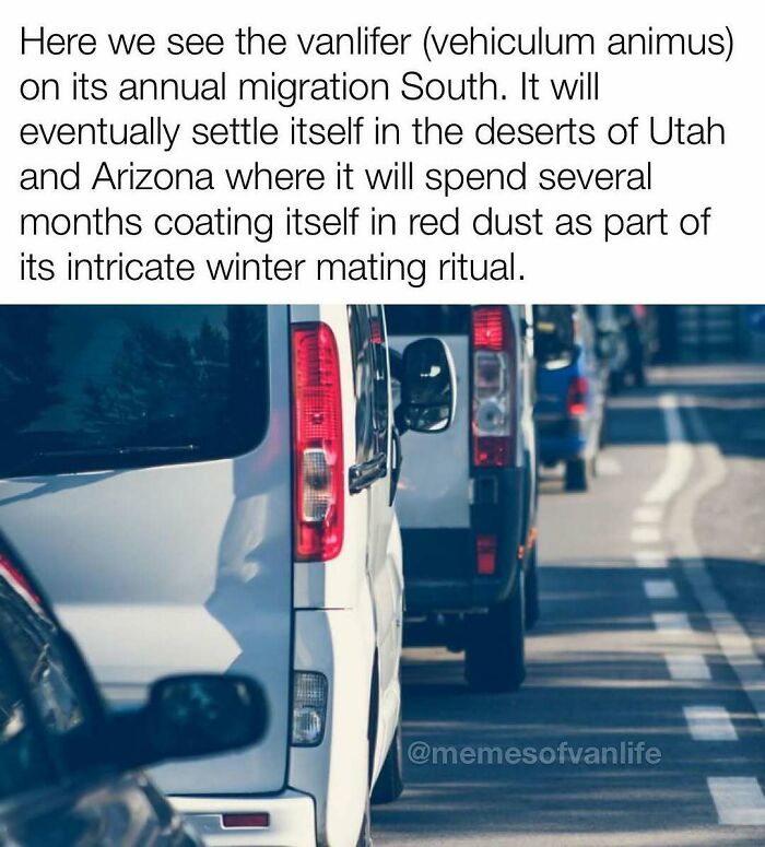 Van Life Memes That Nail The Crazy, Cozy, And Weird Road Adventures