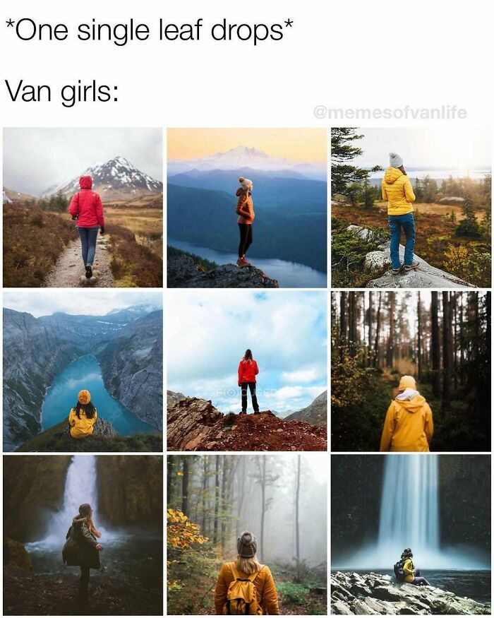 Van Life Memes That Nail The Crazy, Cozy, And Weird Road Adventures