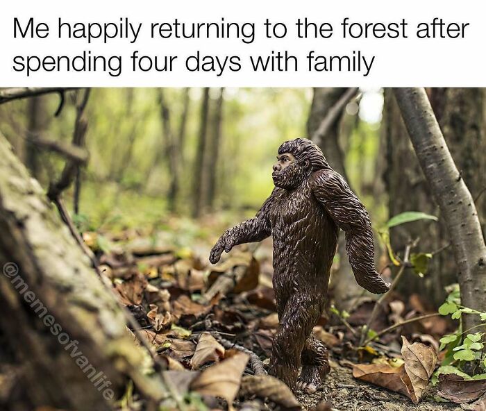 Van Life Memes That Nail The Crazy, Cozy, And Weird Road Adventures
