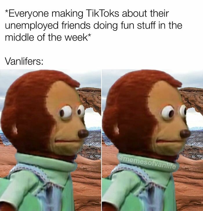 Van Life Memes That Nail The Crazy, Cozy, And Weird Road Adventures