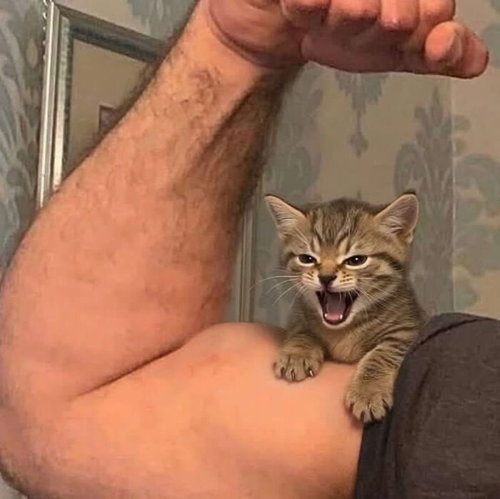 Battle Cry!