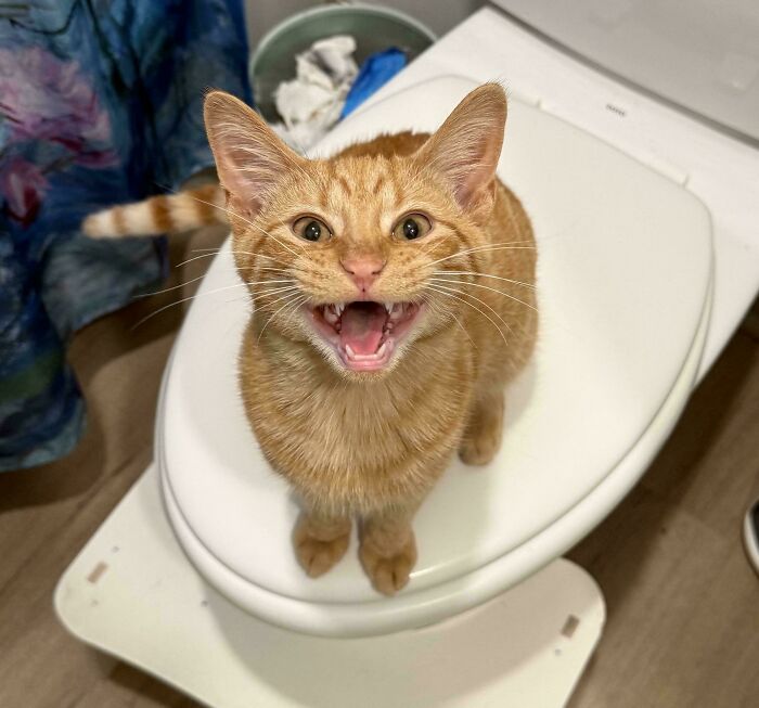 Yelling Because Every. Single. Thing. Delayed.