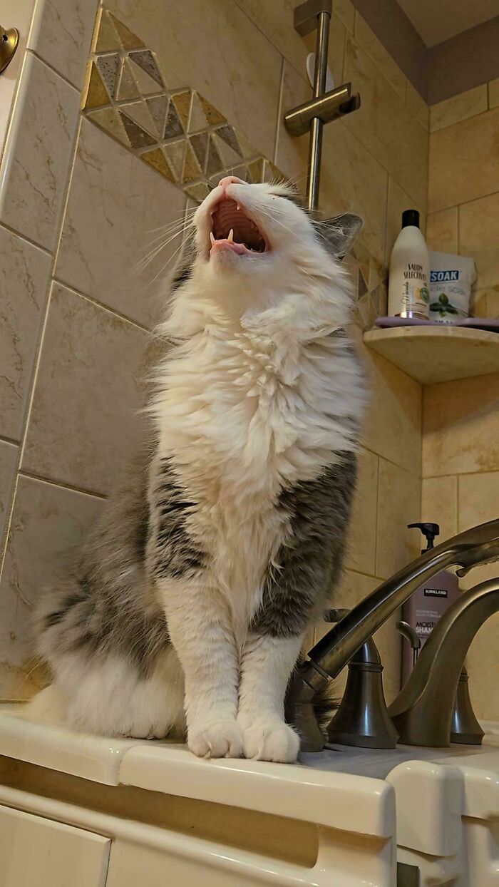 Every Time the Bathroom Door Opens, He Shows Up