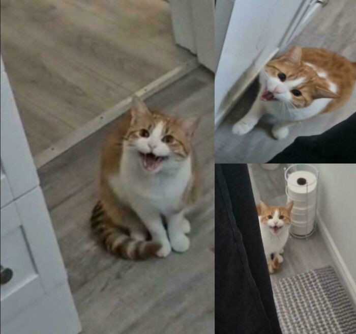 Henry’s Big Feelings About Shower Time