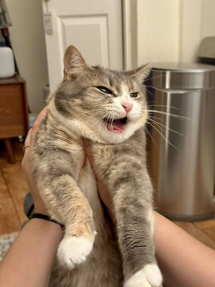 Oh She’s Definitely Maaaaad
