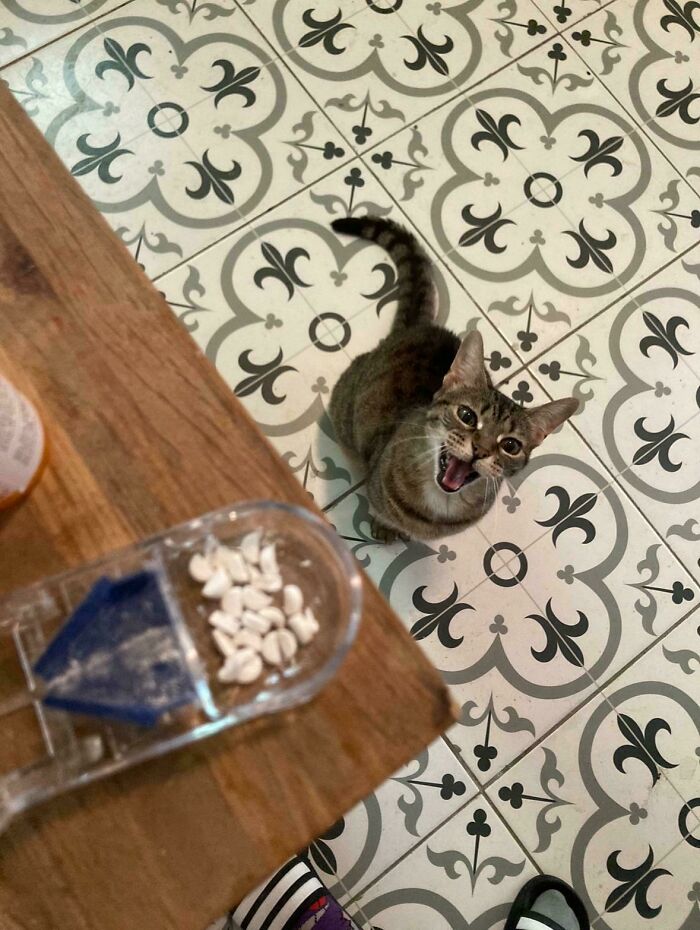 Nearly 18-Year-Old Just Begging For Pills?