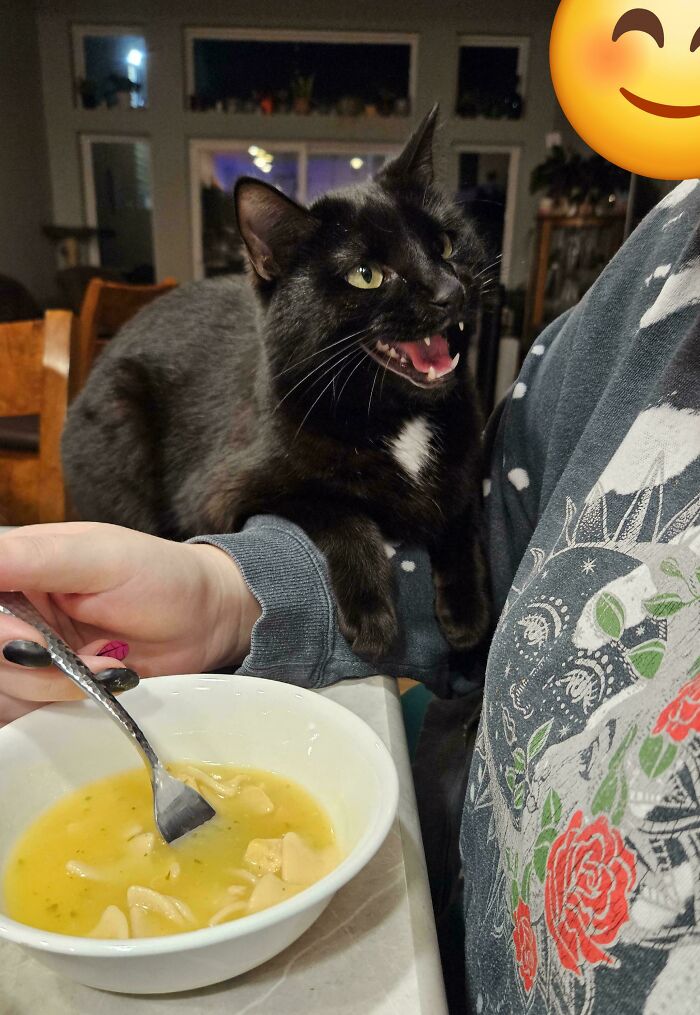 "But Mömther, I Like Chimkin Soup Too!"