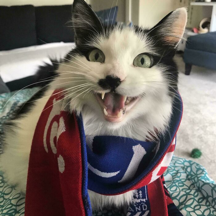 Clawdia Demands to Be Here