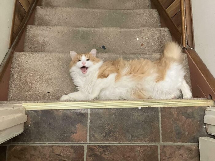 None Shall Pass!!