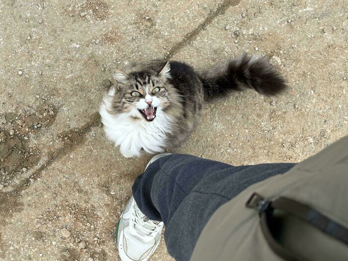 Don’t Scream at Me, Please!