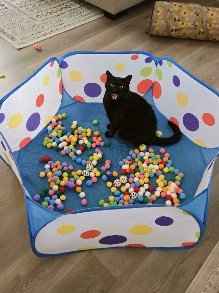 So Excited for His New Ball Pit