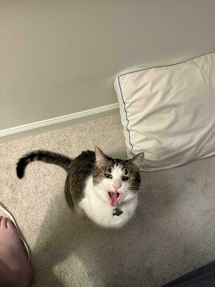 Mom, Where’s My Breakfast?