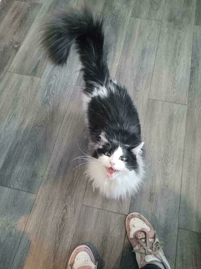Well Hello, Radley Boo!