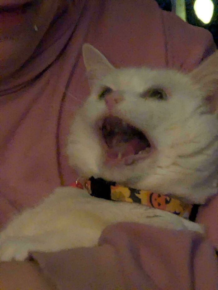 Unhand Me, Human!