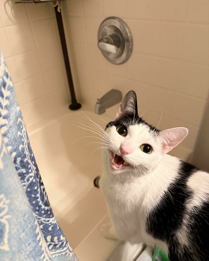 Mabel is a Serious Tap Demander