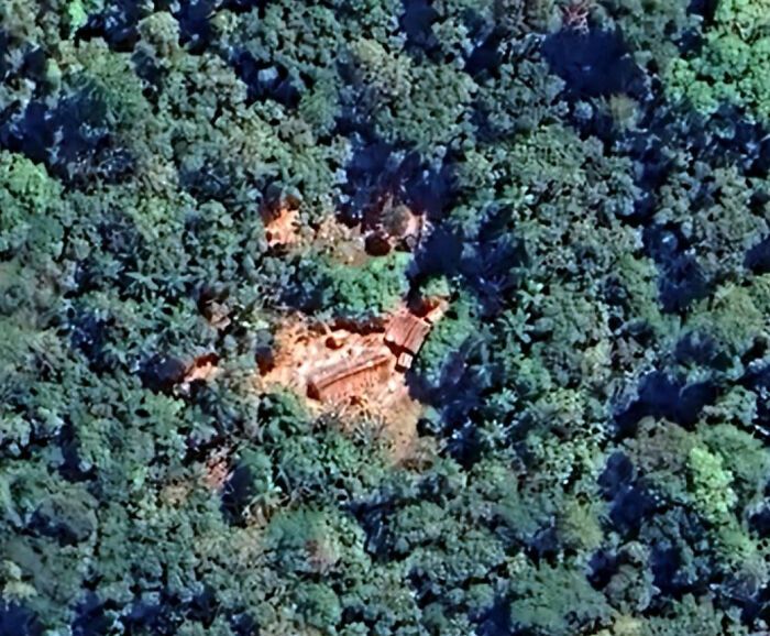 Javari Valley, Where Nature Calls the Shots