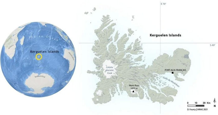 Kerguelen Islands, The Desolation Islands
