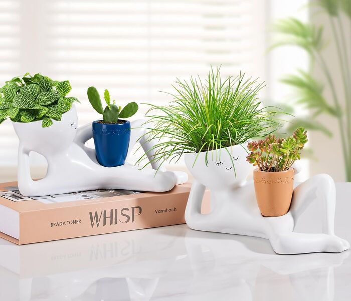 Mom’s Succulents Just Got Naughty—This Cheeky Planter Is Definitely the Life of the Party