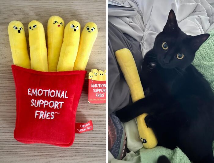 Emotional Support Fries: The Crispy, Cheesy Wellness Plan You Didn't Know You Needed