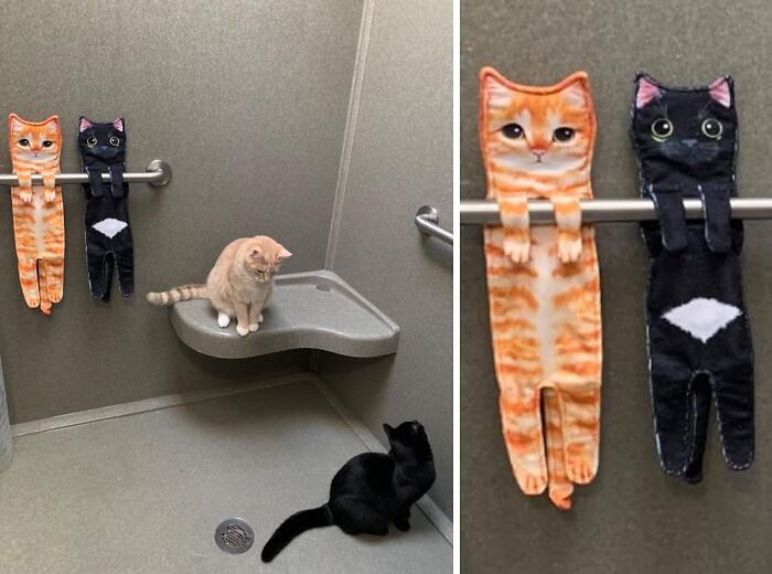 Get Judged By the Ultimate Bathroom Boss—These Cat Hand Towels Bring the Sass to Mom’s Sink