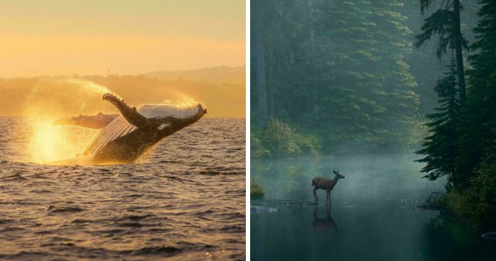 Wait, These Photos Actually Made Us Breathe Out Loud!