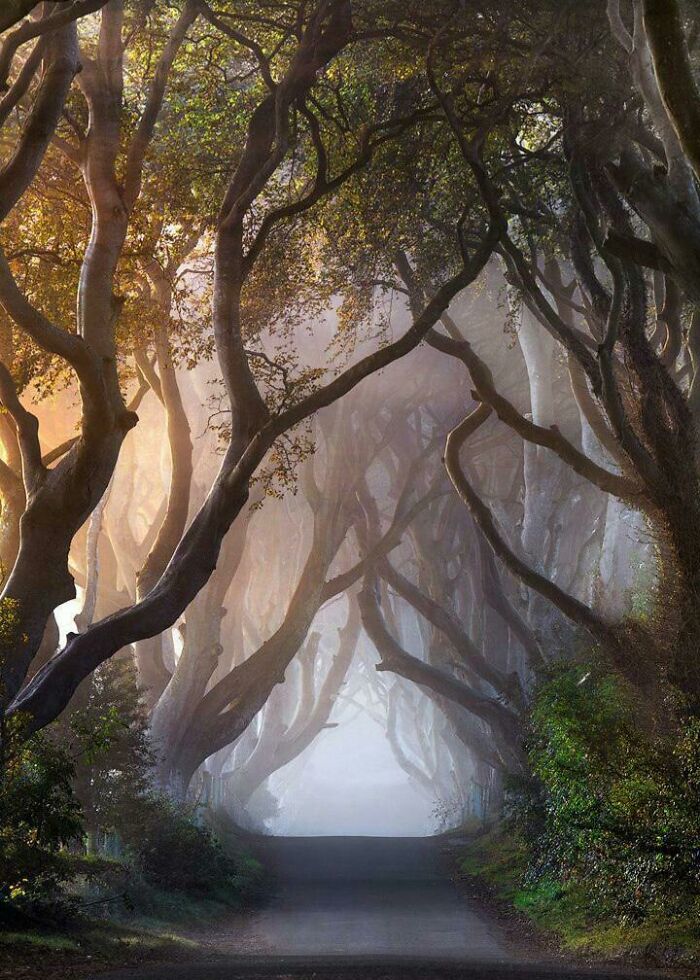 A Path So Cozy, Even Your Shoes Would Smile