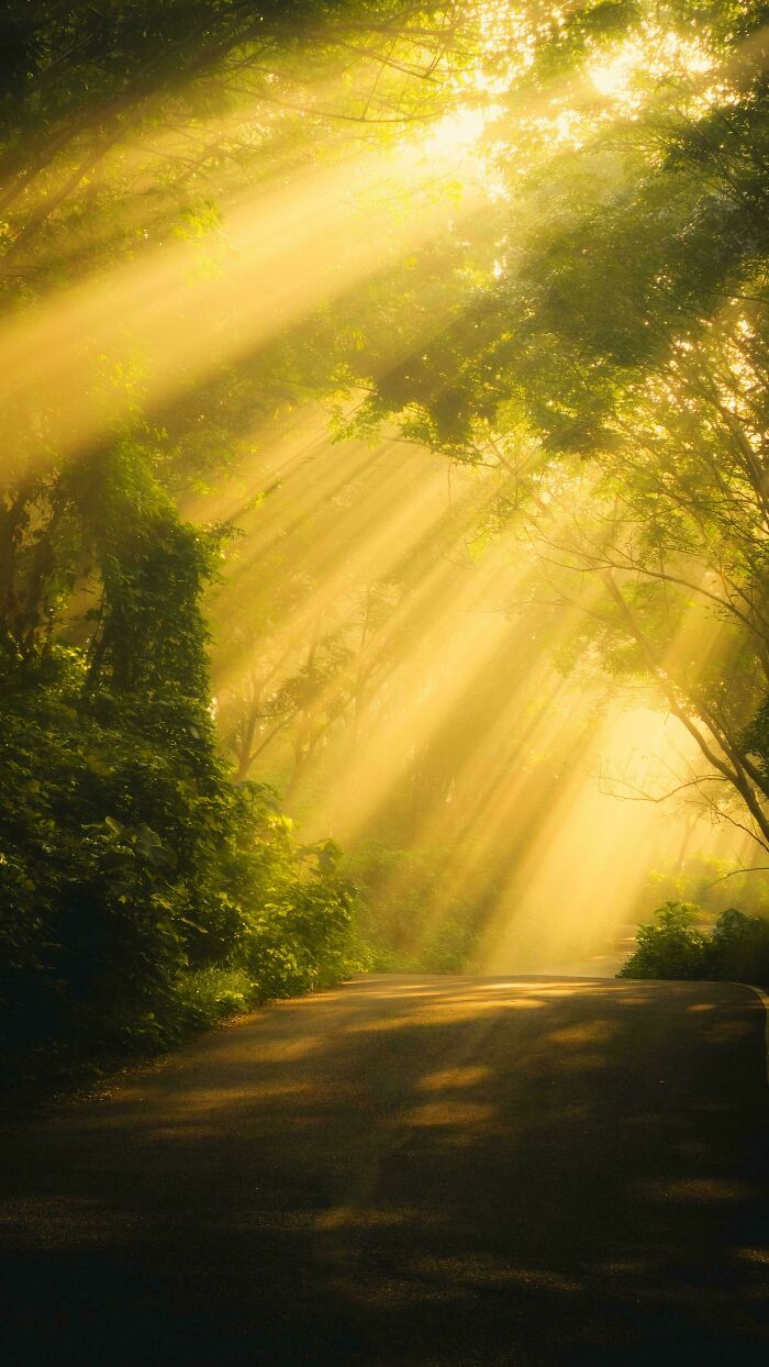 First Light: When The Sun Decides To Show Off