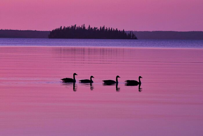 Prince Albert National Park, Saskatchewan — Nature’s Own Chill Zone