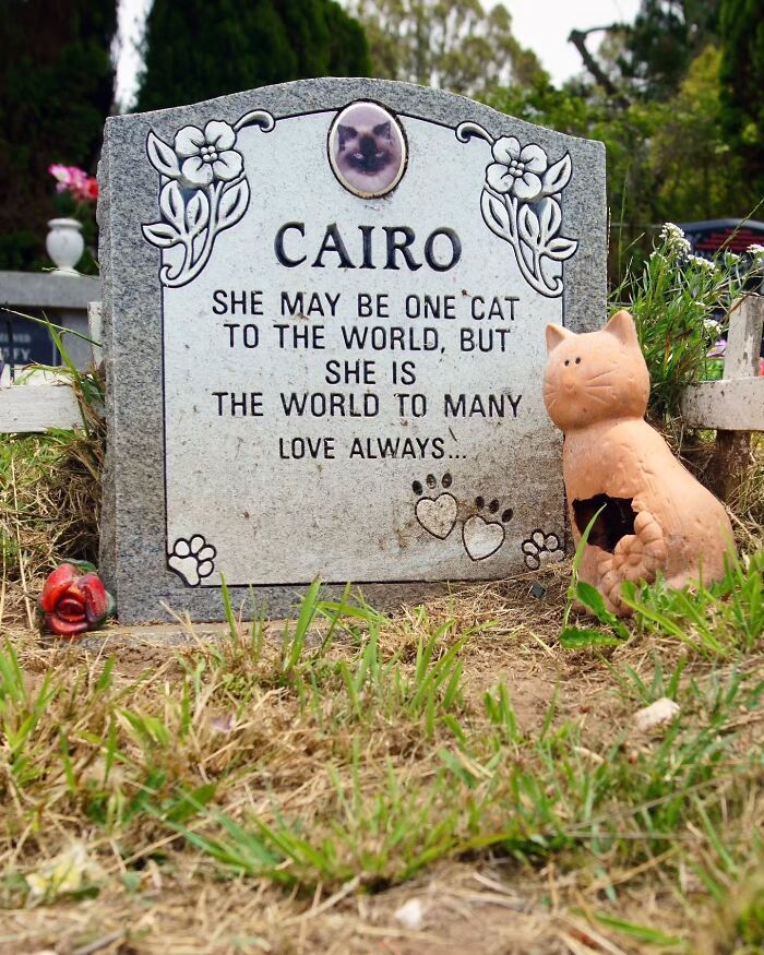Wait, People Actually Make Pet Cemeteries This Touching? Check Out These 23 Heart-Melting Pet Memorials