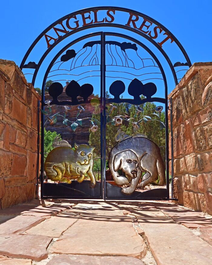 Wait, People Actually Make Pet Cemeteries This Touching? Check Out These 23 Heart-Melting Pet Memorials
