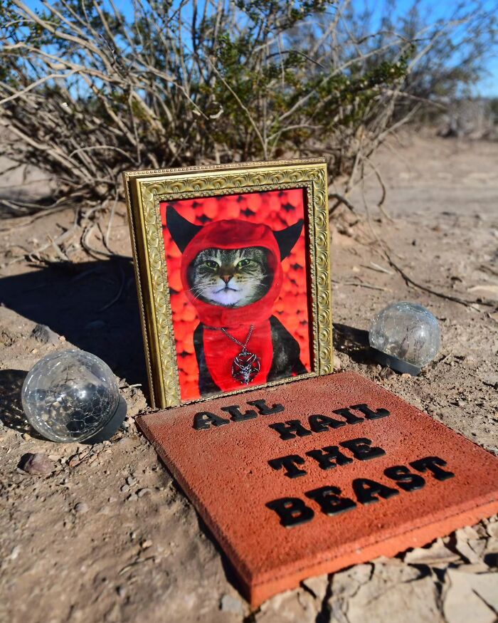 Wait, People Actually Make Pet Cemeteries This Touching? Check Out These 23 Heart-Melting Pet Memorials